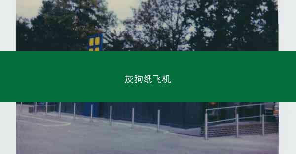 灰狗纸飞机