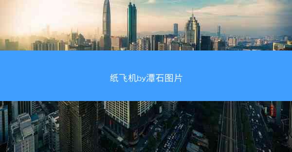 纸飞机by潭石图片
