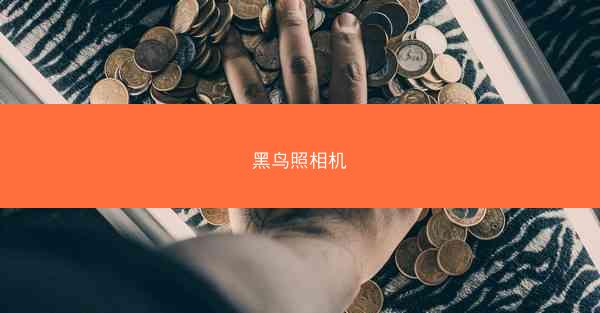 黑鸟照相机