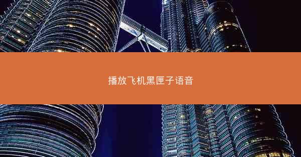 播放飞机黑匣子语音