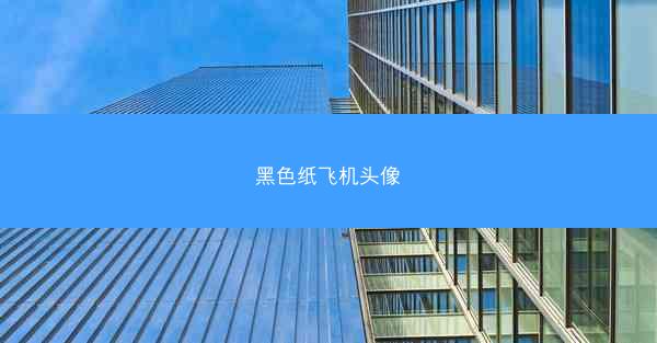 黑色纸飞机头像