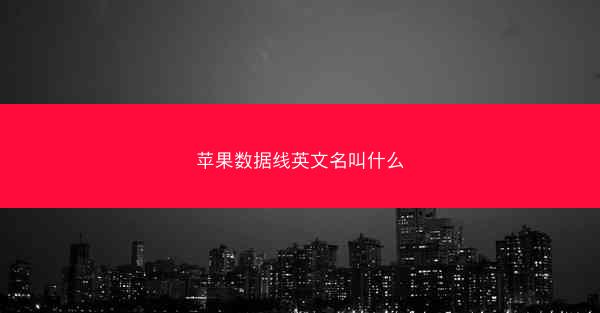 苹果数据线英文名叫什么