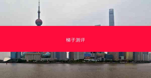 梯子测评