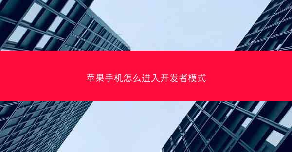 苹果手机怎么进入开发者模式