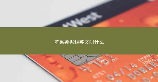 苹果数据线英文叫什么