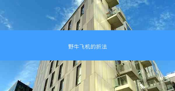 野牛飞机的折法