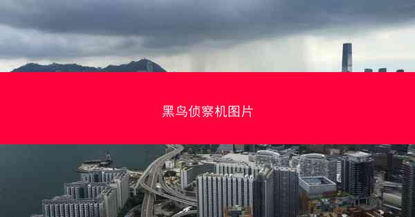黑鸟侦察机图片