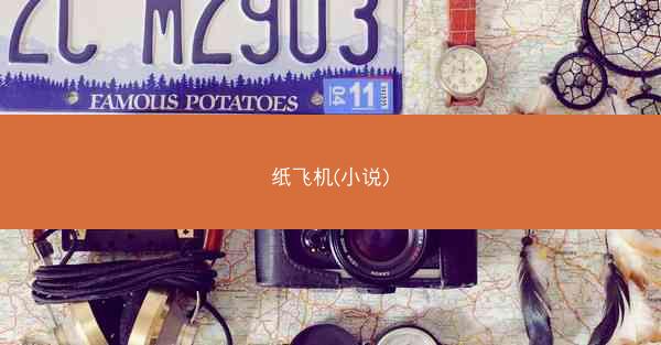 纸飞机(小说)