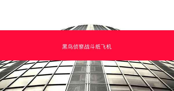 黑鸟侦察战斗纸飞机