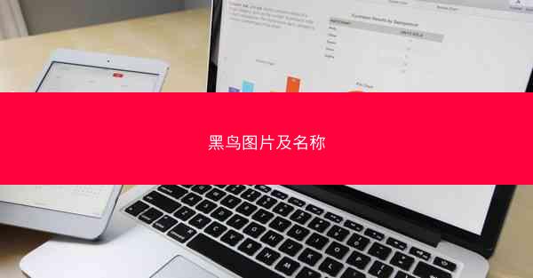 黑鸟图片及名称