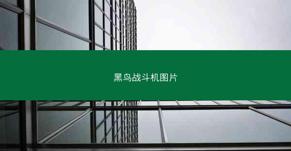 黑鸟战斗机图片
