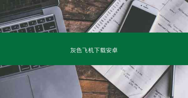 灰色飞机下载安卓