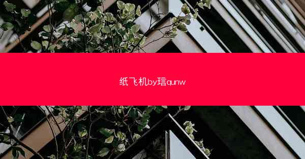 纸飞机by琂qunw