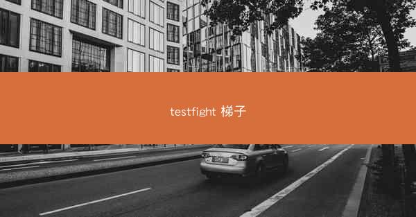 testfight 梯子