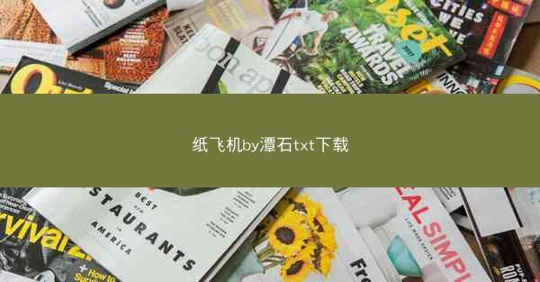 纸飞机by潭石txt下载