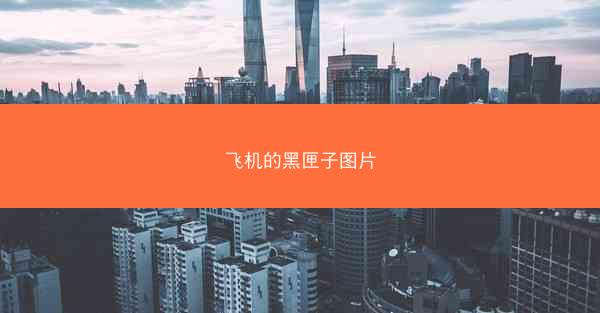 飞机的黑匣子图片